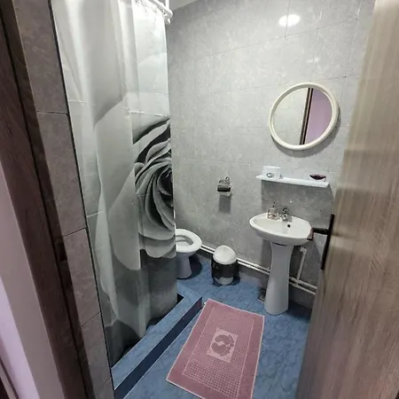 Séjour chez l'habitant Casa Ionita Două Mai